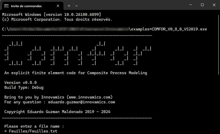 Running Comfor in the terminal